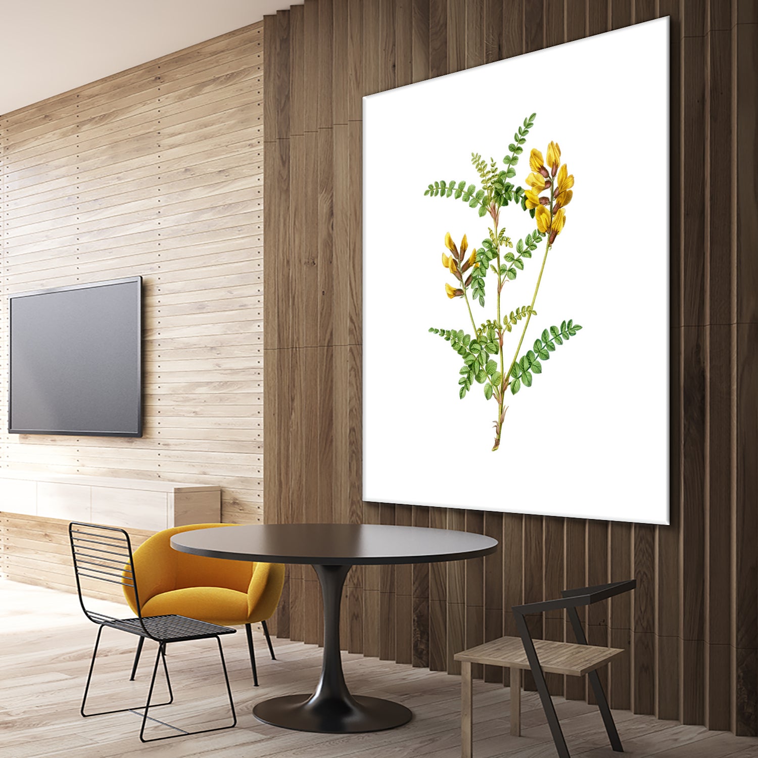 Vintage Calophaca Wolgarica Botanical Illustration by Raul Andre Petrasanta on GIANT ART - yellow mixed media