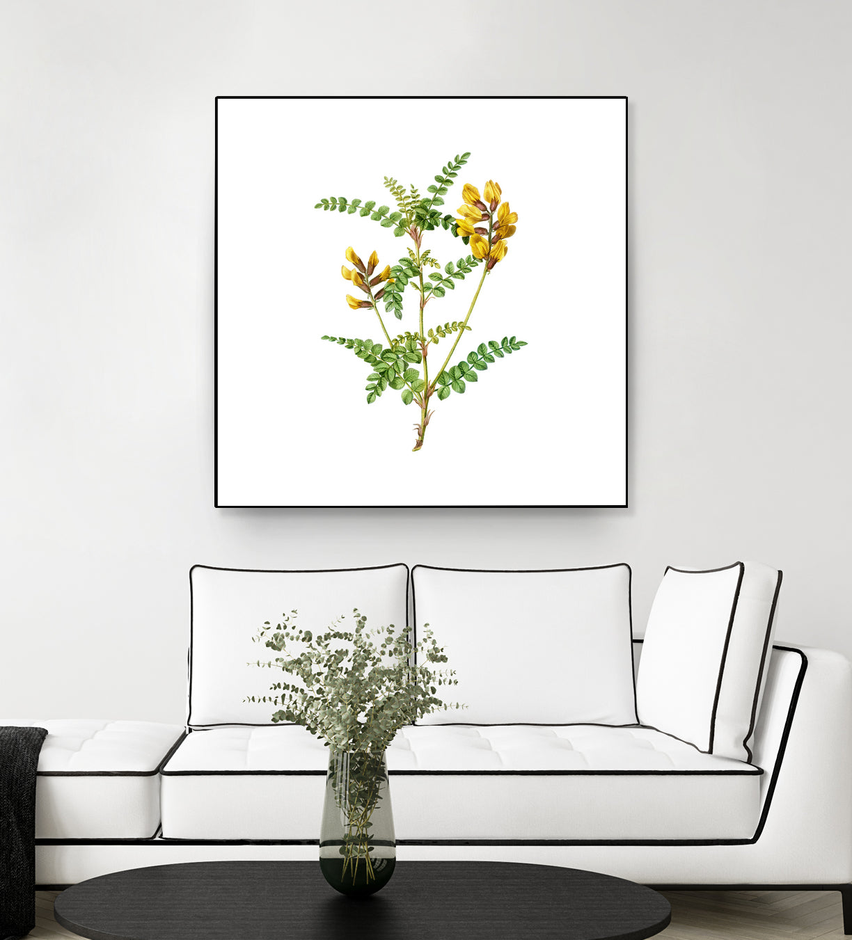 Vintage Calophaca Wolgarica Botanical Illustration by Raul Andre Petrasanta on GIANT ART - yellow mixed media