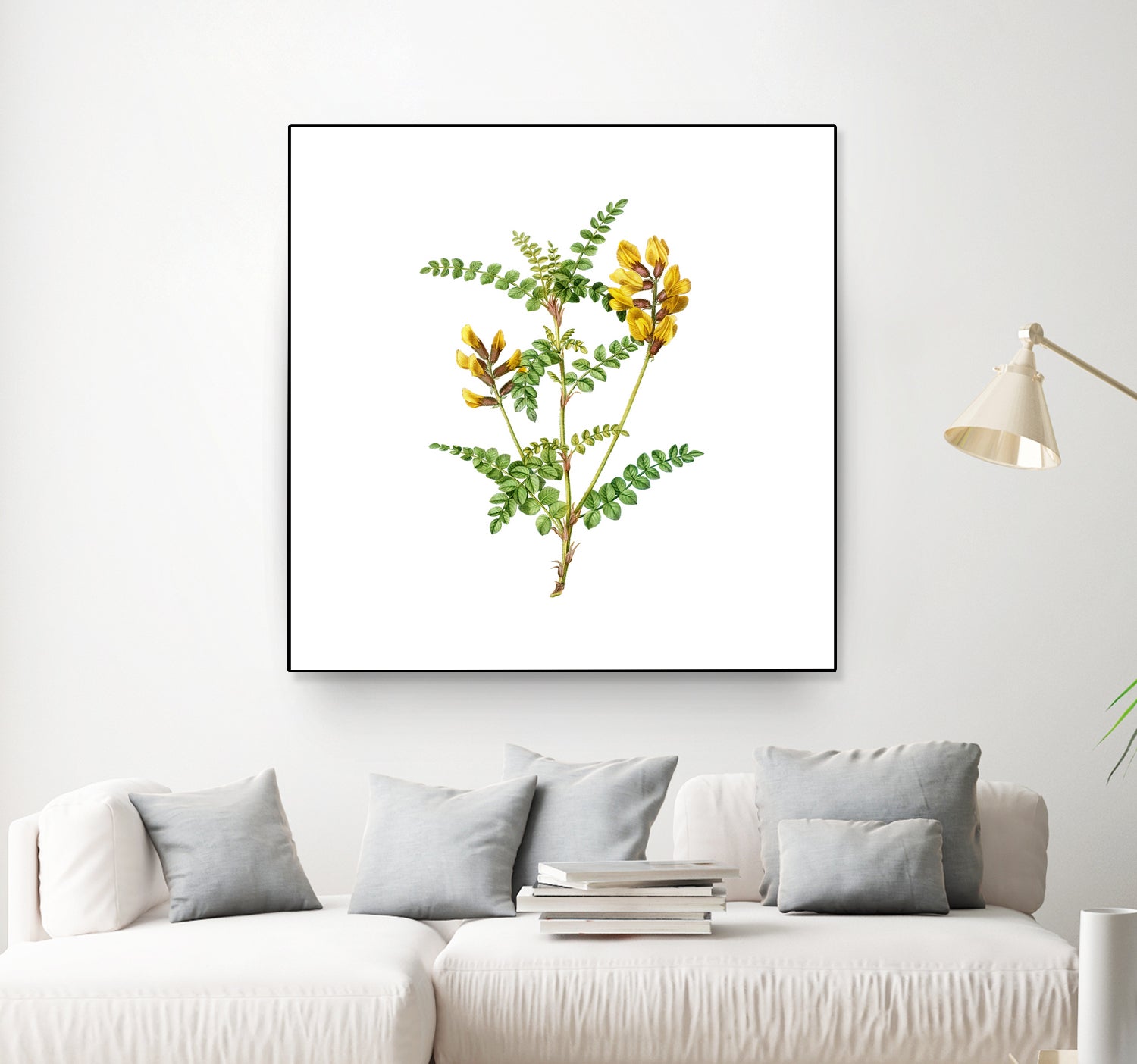 Vintage Calophaca Wolgarica Botanical Illustration by Raul Andre Petrasanta on GIANT ART - yellow mixed media