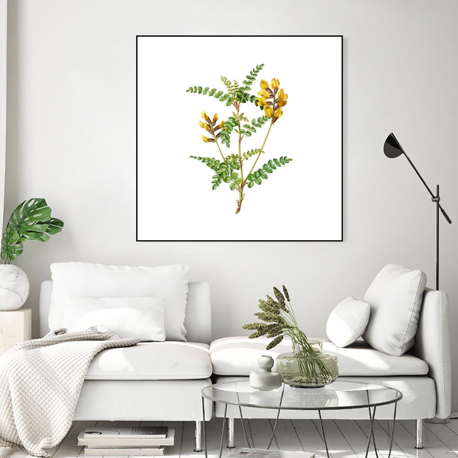 Vintage Calophaca Wolgarica Botanical Illustration by Raul Andre Petrasanta on GIANT ART - yellow mixed media