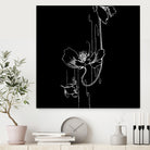 Garden Black by Aimer Heinz on GIANT ART - black vector illustration