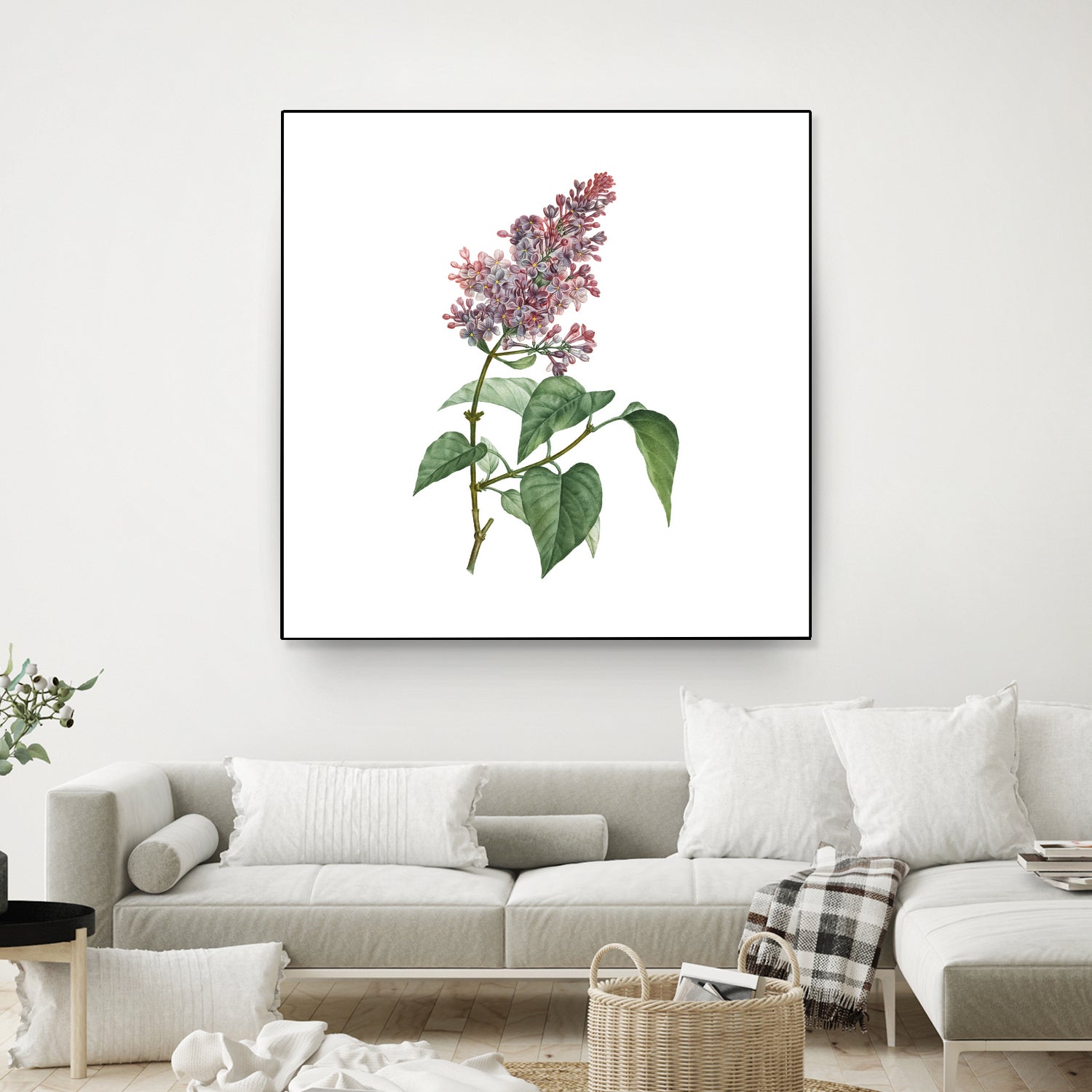 Vintage Common Pink Lilac Plant Botanical Illustratio by Raul Andre Petrasanta on GIANT ART - pink mixed media