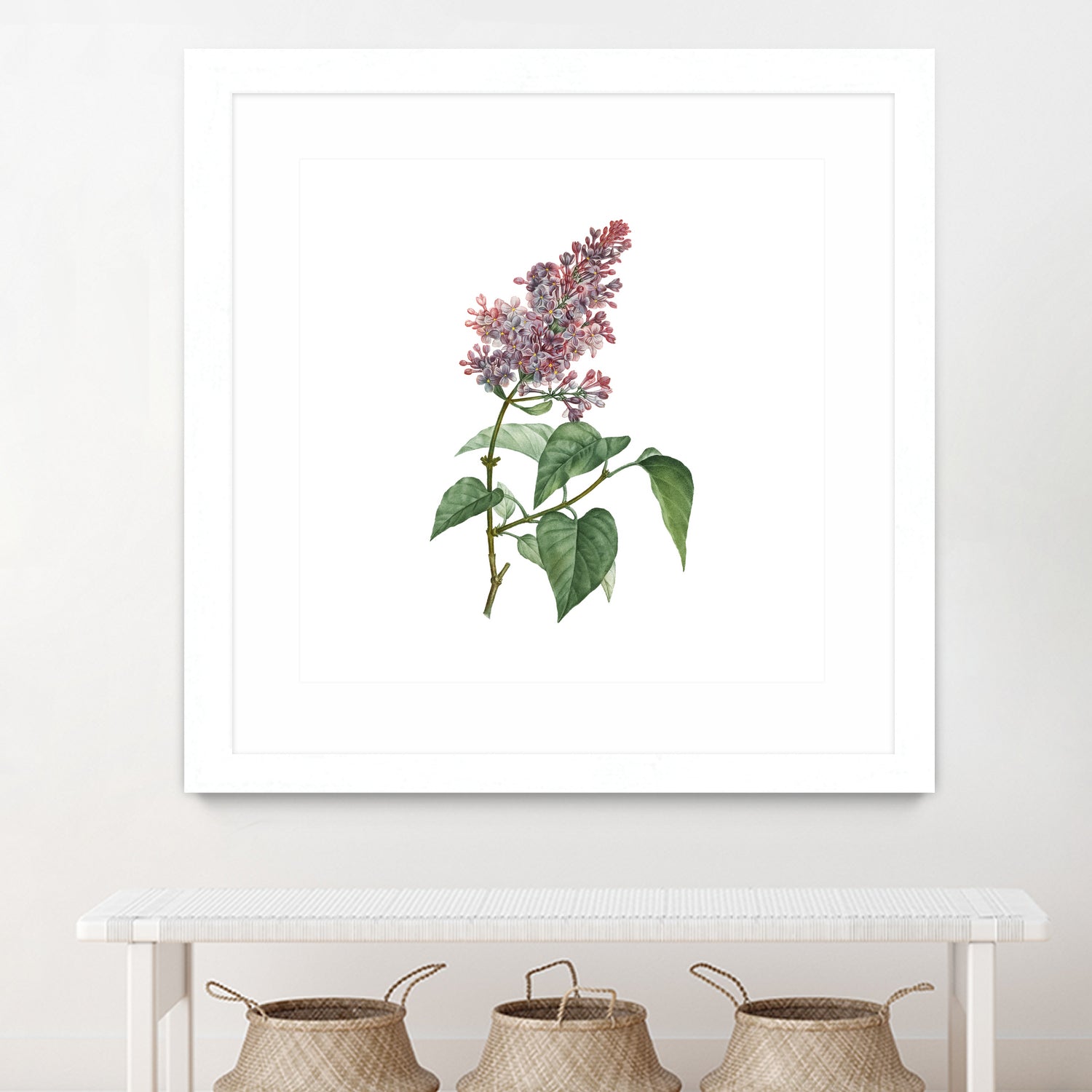 Vintage Common Pink Lilac Plant Botanical Illustratio by Raul Andre Petrasanta on GIANT ART - pink mixed media