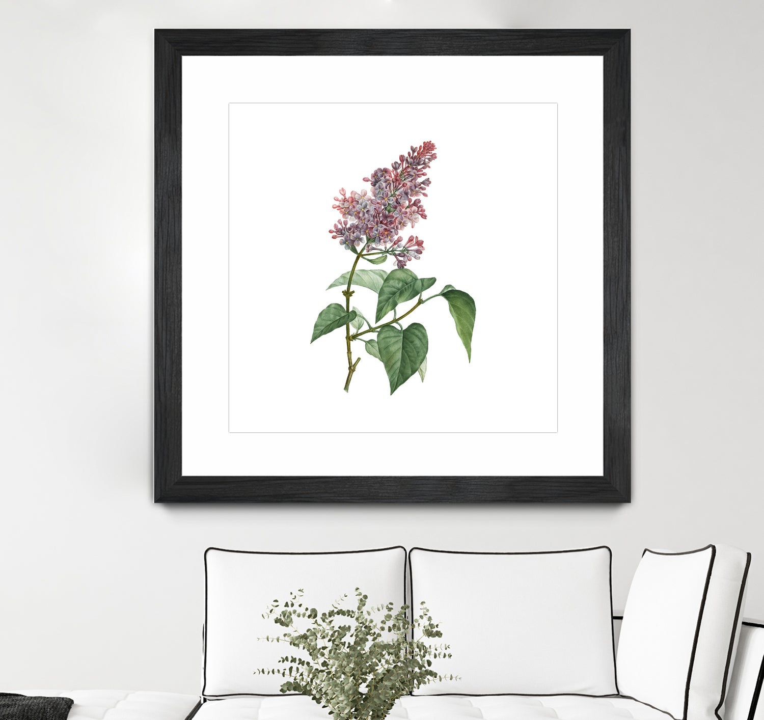 Vintage Common Pink Lilac Plant Botanical Illustratio by Raul Andre Petrasanta on GIANT ART - pink mixed media