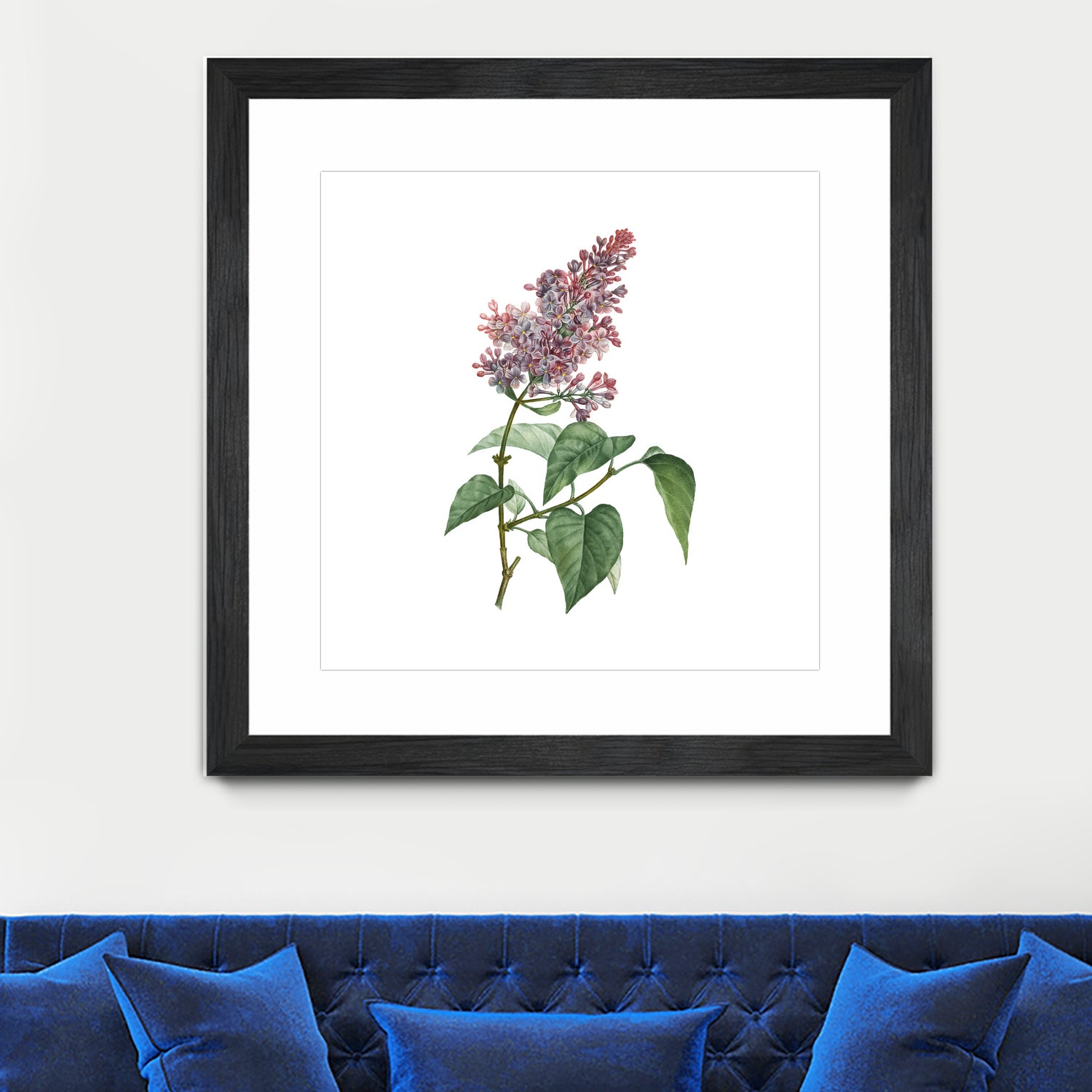 Vintage Common Pink Lilac Plant Botanical Illustratio by Raul Andre Petrasanta on GIANT ART - pink mixed media