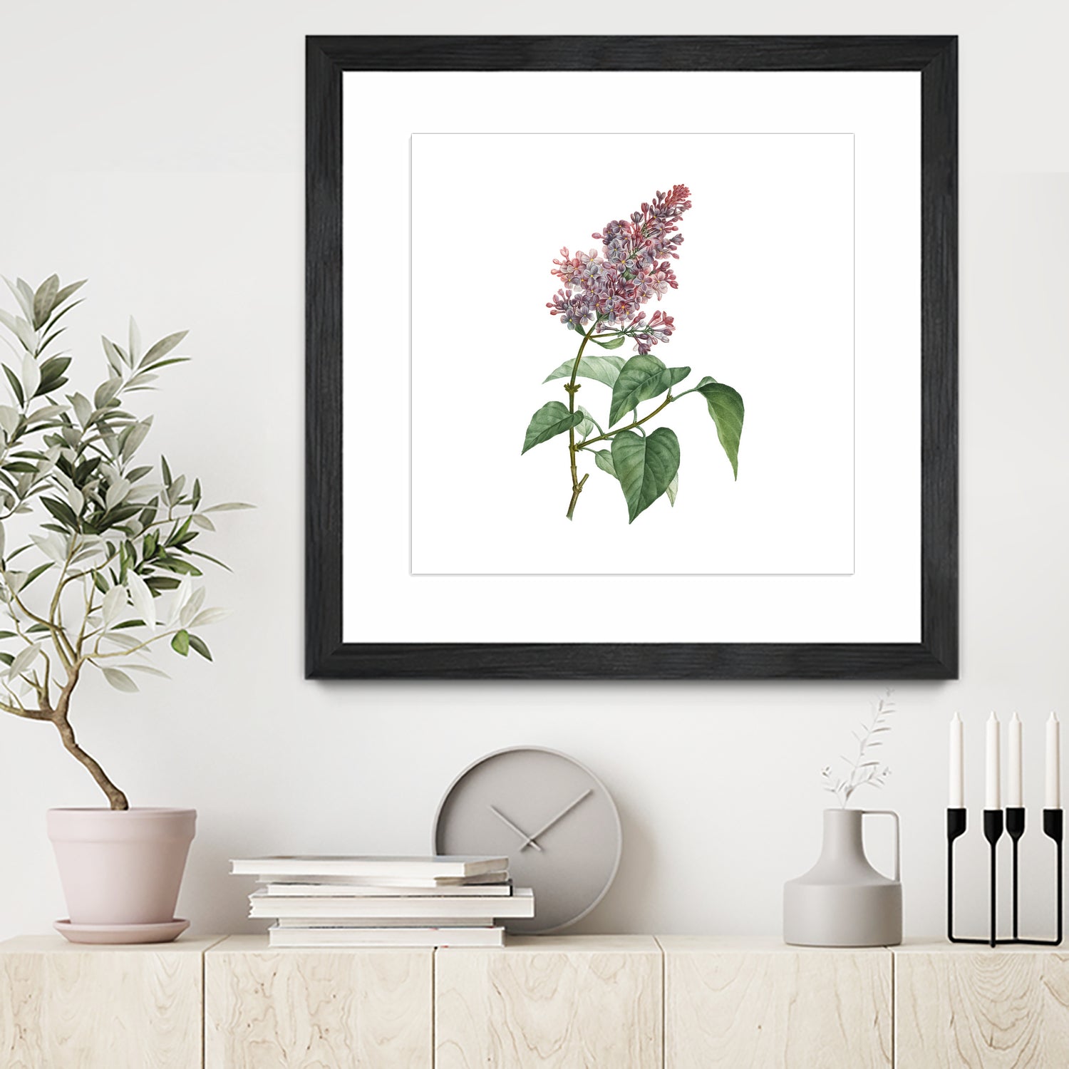 Vintage Common Pink Lilac Plant Botanical Illustratio by Raul Andre Petrasanta on GIANT ART - pink mixed media