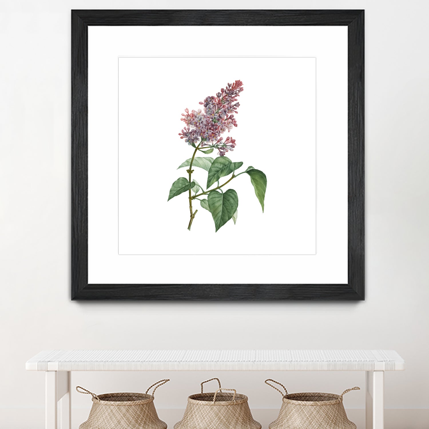 Vintage Common Pink Lilac Plant Botanical Illustratio by Raul Andre Petrasanta on GIANT ART - pink mixed media