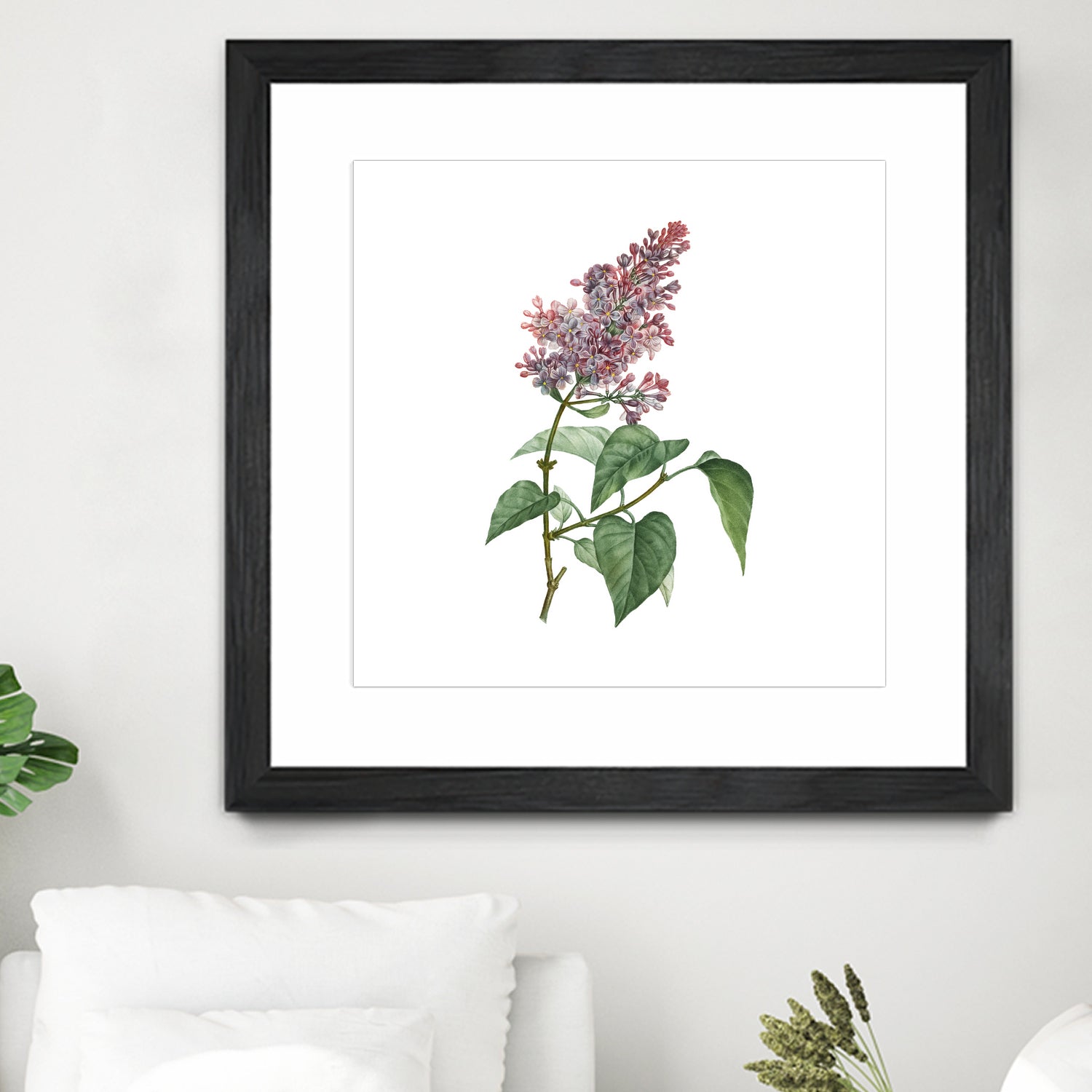 Vintage Common Pink Lilac Plant Botanical Illustratio by Raul Andre Petrasanta on GIANT ART - pink mixed media