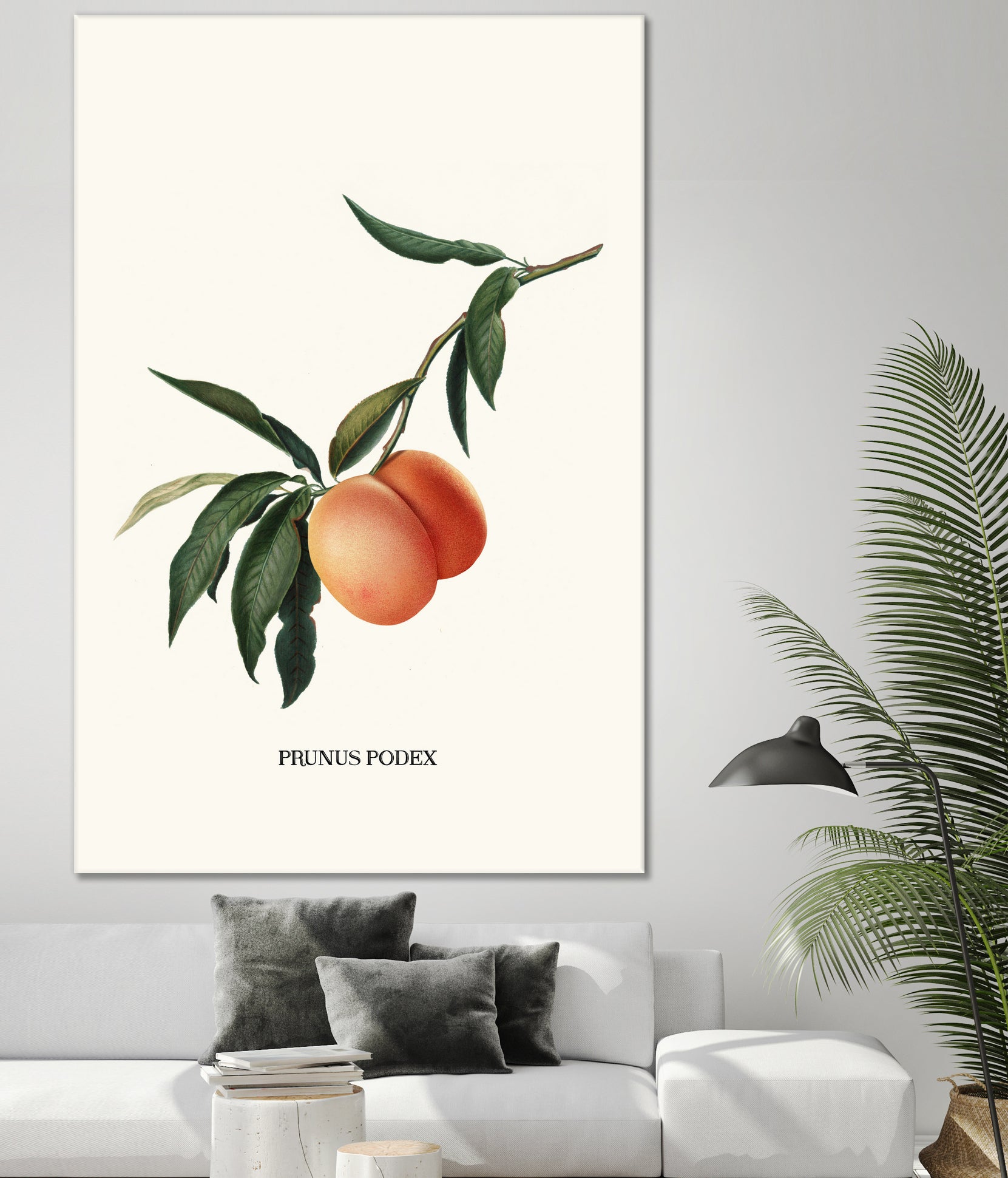 PEACHY by Jonas Loose on GIANT ART - orange photo manipulation