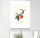 PEACHY by Jonas Loose on GIANT ART - orange photo manipulation