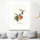 PEACHY by Jonas Loose on GIANT ART - orange photo manipulation