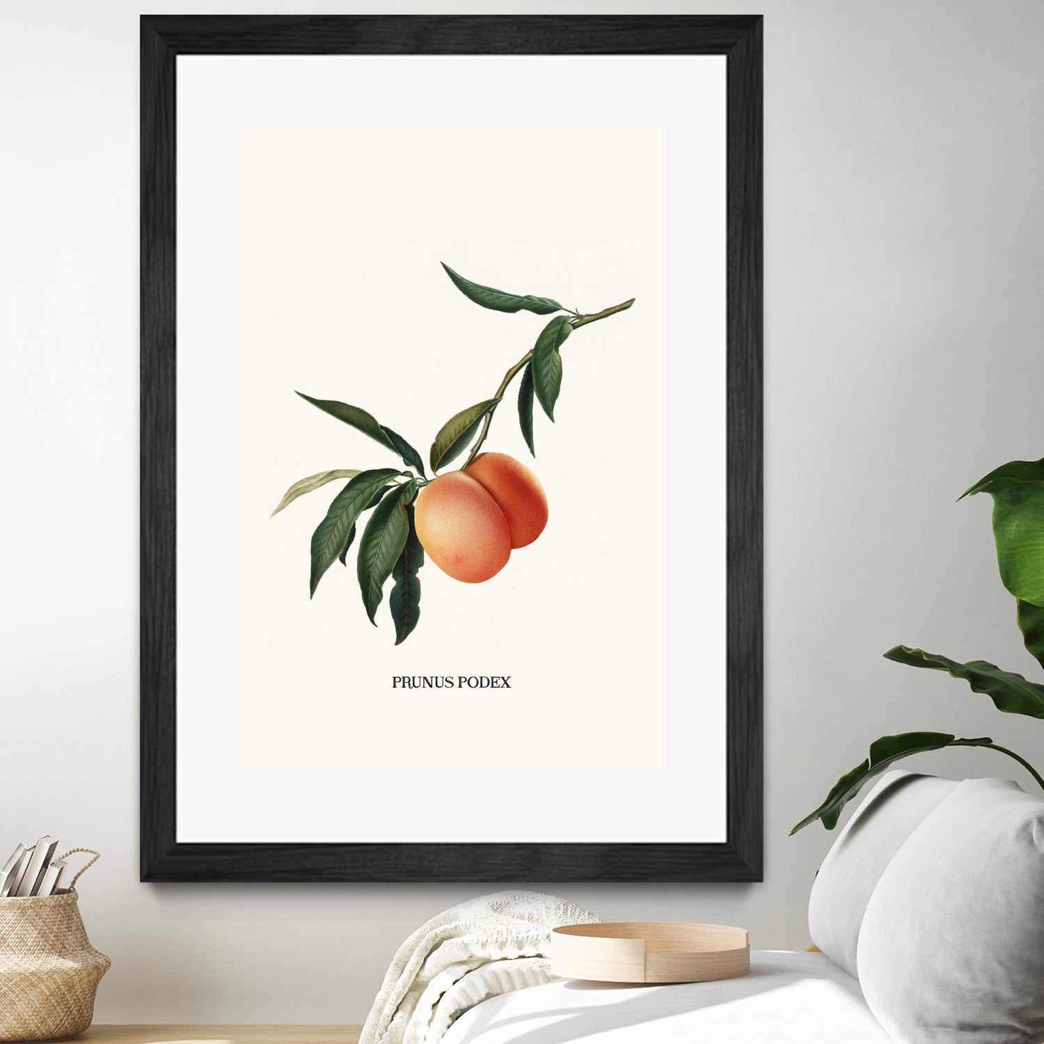 PEACHY by Jonas Loose on GIANT ART - orange photo manipulation