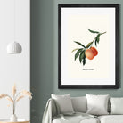 PEACHY by Jonas Loose on GIANT ART - orange photo manipulation