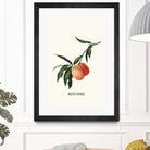 PEACHY by Jonas Loose on GIANT ART - orange photo manipulation