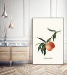 PEACHY by Jonas Loose on GIANT ART - orange photo manipulation