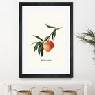 PEACHY by Jonas Loose on GIANT ART - orange photo manipulation