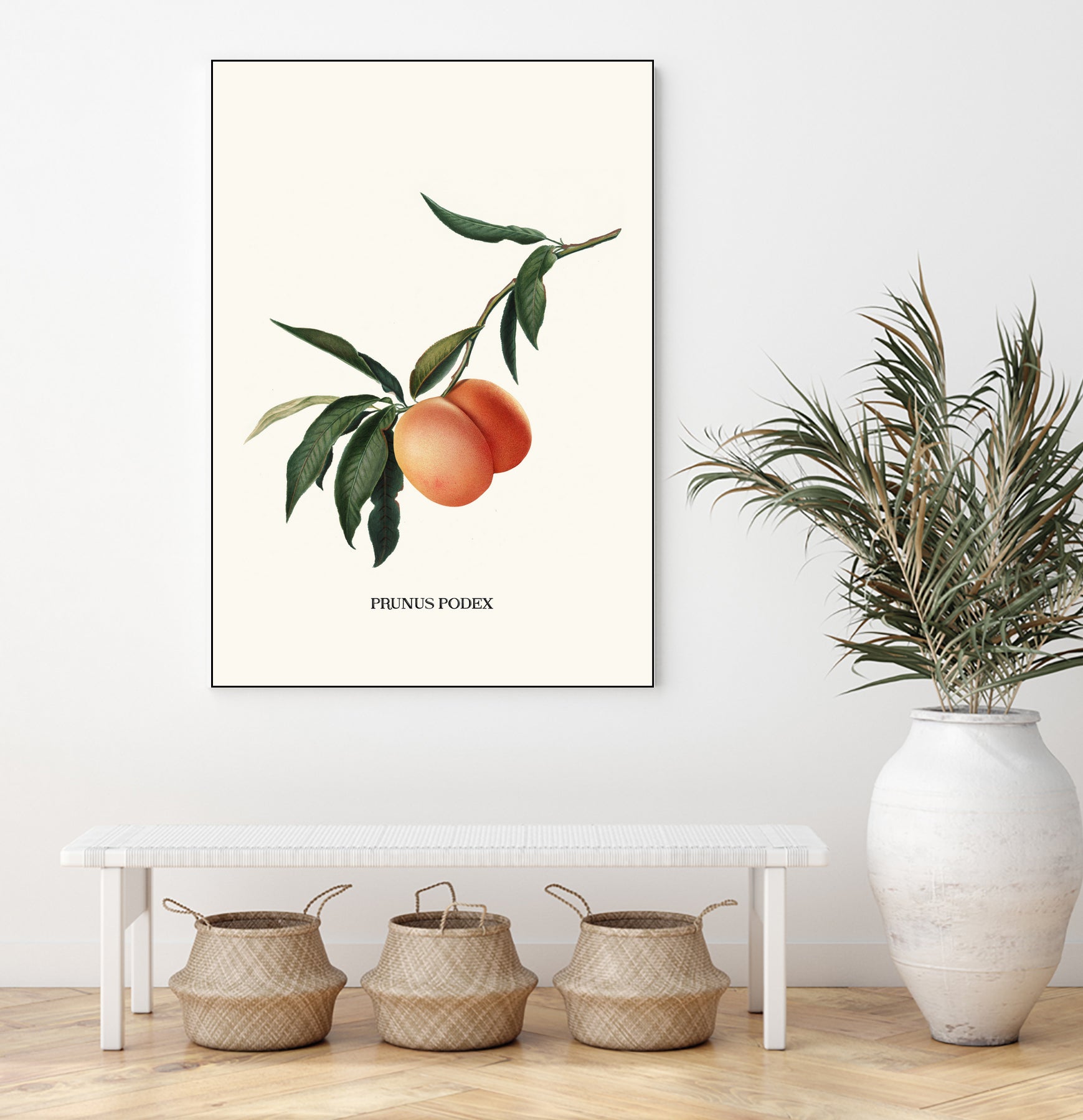 PEACHY by Jonas Loose on GIANT ART - orange photo manipulation