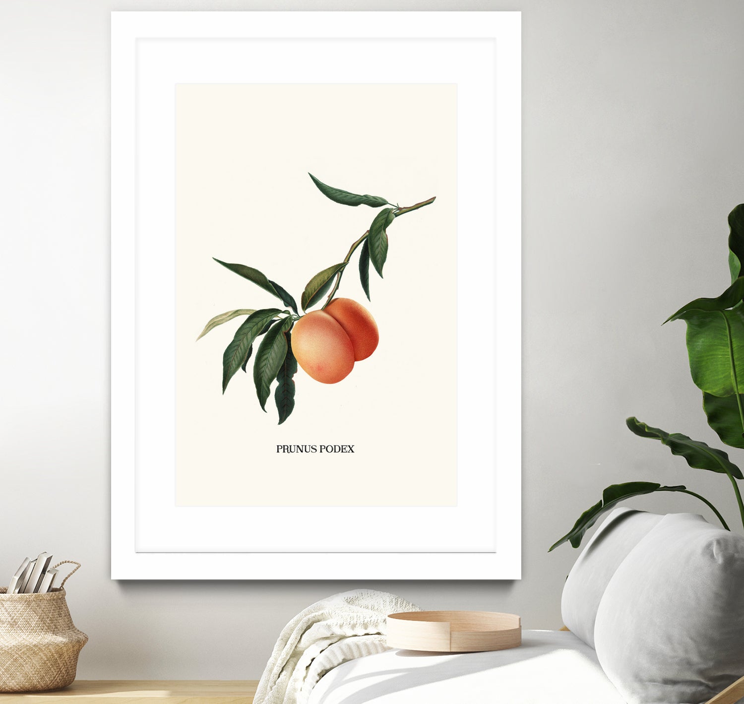 PEACHY by Jonas Loose on GIANT ART - orange photo manipulation