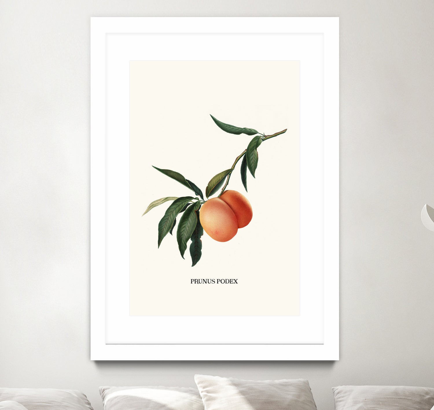 PEACHY by Jonas Loose on GIANT ART - orange photo manipulation