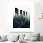 Wall at Forest by dedy rahmanto on GIANT ART - white photo illustration