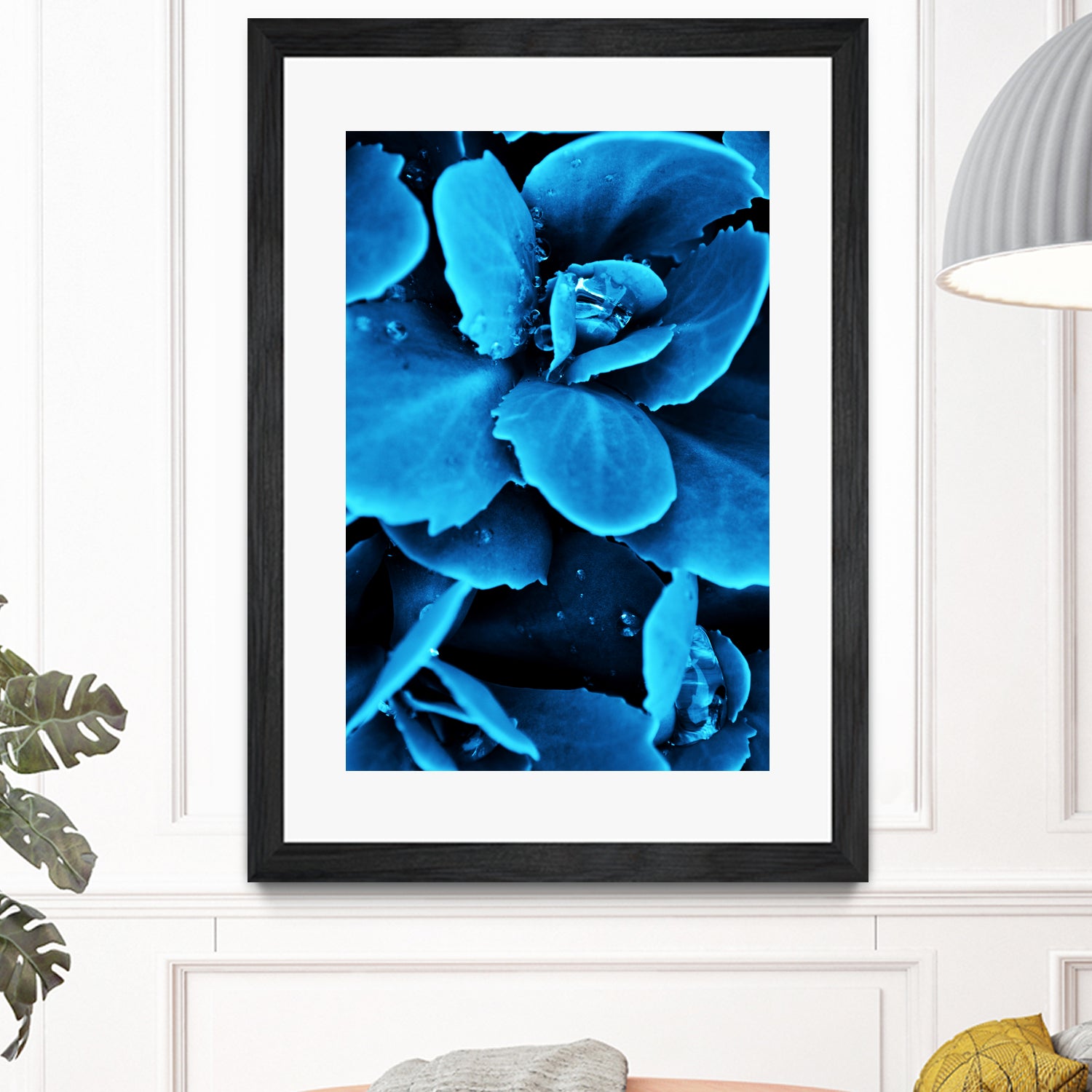 Succulent raindrops in blue by IOANNA PAPANIKOLAOU on GIANT ART - blue photo illustration