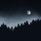 Under Moonlight by Oliver Brömme on GIANT ART - black photo manipulation