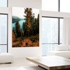 Pine tree with lake scenic at Emerald Bay Lake Tahoe by sutee monchitnukul on GIANT ART - orange photo manipulation