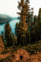 Pine tree with lake scenic at Emerald Bay Lake Tahoe by sutee monchitnukul on GIANT ART - orange photo manipulation