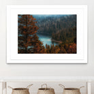 pine tree at Emerald Bay Lake Tahoe California USA by sutee monchitnukul on GIANT ART - red photo manipulation