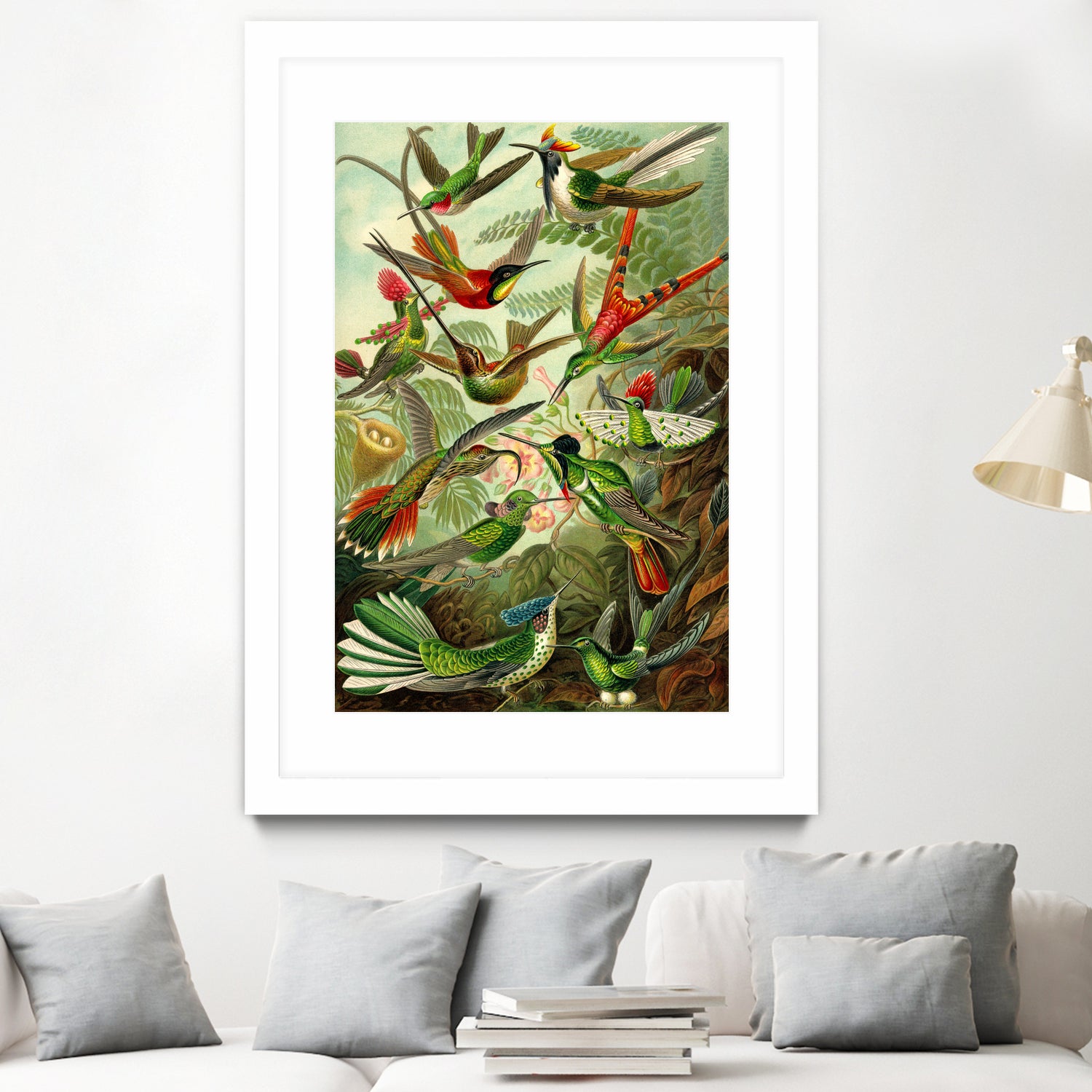 Colibri - Ernst Haeckel by Andrea Almering on GIANT ART - black digital painting