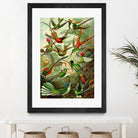 Colibri - Ernst Haeckel by Andrea Almering on GIANT ART - black digital painting