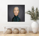 Jane Goodall by Rob Snow on GIANT ART - brown digital painting