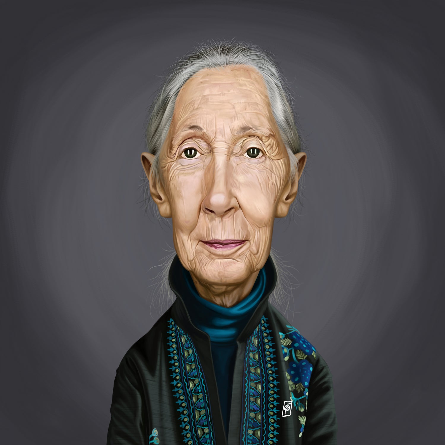 Jane Goodall by Rob Snow on GIANT ART - brown digital painting