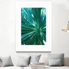 Tropical Fan Palm Finesse #1 #tropical #wall #decor #art by Anita & Bella Jantz on GIANT ART - green photo manipulation