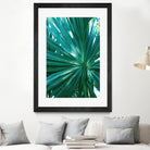 Tropical Fan Palm Finesse #1 #tropical #wall #decor #art by Anita & Bella Jantz on GIANT ART - green photo manipulation