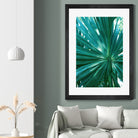 Tropical Fan Palm Finesse #1 #tropical #wall #decor #art by Anita & Bella Jantz on GIANT ART - green photo manipulation