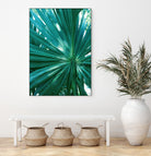 Tropical Fan Palm Finesse #1 #tropical #wall #decor #art by Anita & Bella Jantz on GIANT ART - green photo manipulation