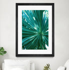 Tropical Fan Palm Finesse #1 #tropical #wall #decor #art by Anita & Bella Jantz on GIANT ART - green photo manipulation