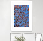 The red leaves in the early spring by Studio OMG on GIANT ART - red photo illustration