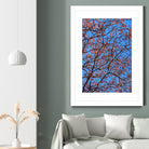 The red leaves in the early spring by Studio OMG on GIANT ART - red photo illustration