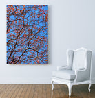 The red leaves in the early spring by Studio OMG on GIANT ART - red photo illustration