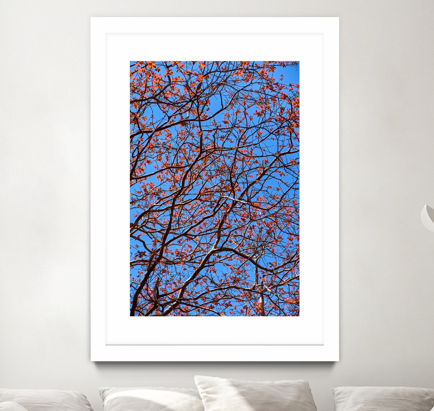 The red leaves in the early spring by Studio OMG on GIANT ART - red photo illustration