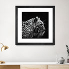 Leopard by Rainbow style on GIANT ART - black 3d art