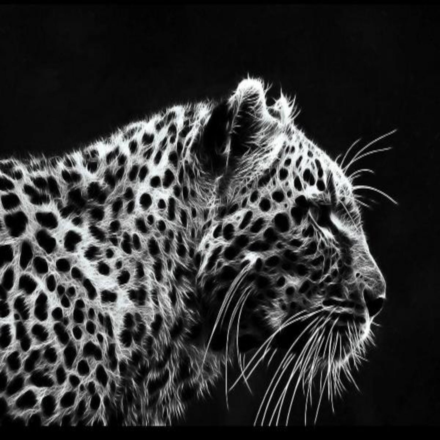 Leopard by Rainbow style on GIANT ART - black 3d art