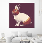 Lapin Catcheur (Rabbit Wrestler) by Florent Bodart on GIANT ART - digital drawing