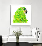 Green Parrot by Reid Harrison on GIANT ART - green digital painting