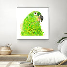 Green Parrot by Reid Harrison on GIANT ART - green digital painting