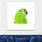 Green Parrot by Reid Harrison on GIANT ART - green digital painting