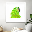 Green Parrot by Reid Harrison on GIANT ART - green digital painting