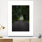 The asphalt road straight into the forest by Studio OMG on GIANT ART - green photo illustration